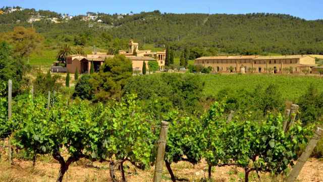 Los campos de Cabrera d'Anoia