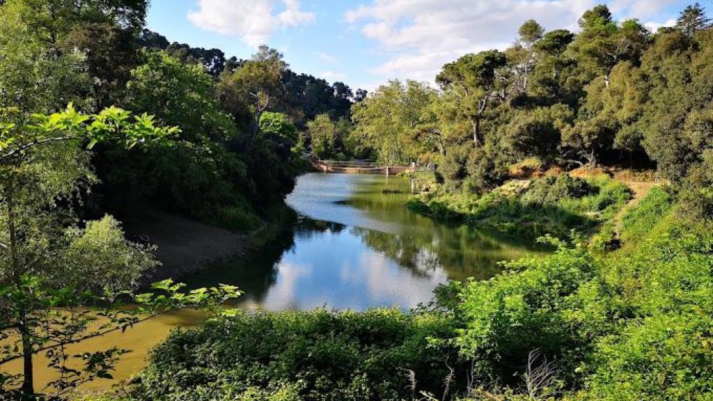 Pantano de Vallvidrera