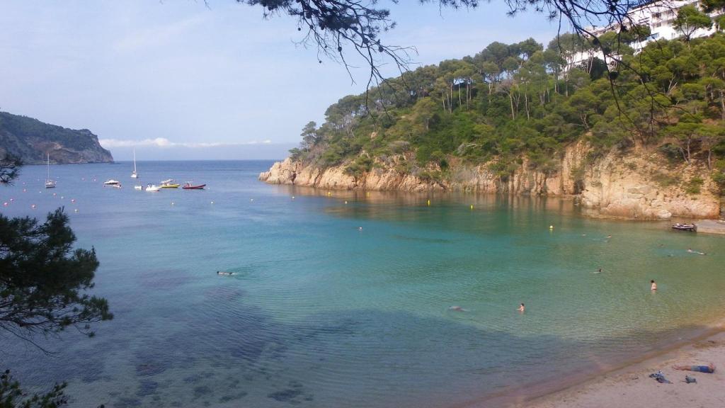 La cala de Aiguablava de Begur en una imagen de archivo