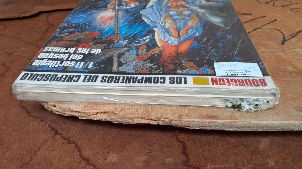 Libros con desperfectos tras mojarse a causa de las goteras en el mercado de Sant Antoni