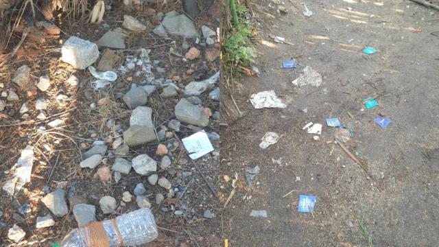 Suciedad y condones usados en la desembocadura del Besòs donde fueron los niños de excursión