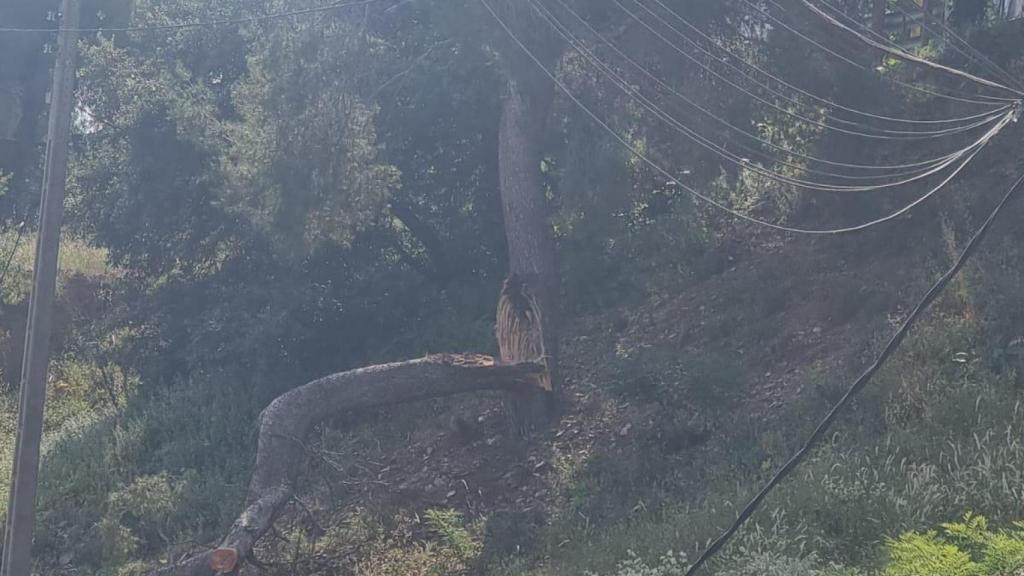 Cableado eléctrico en Torre Baró