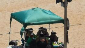 Una carpa en la playa de Badalona