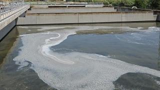 Desastre ecológico en el río Besòs por el vertido tóxico de una empresa de Barcelona