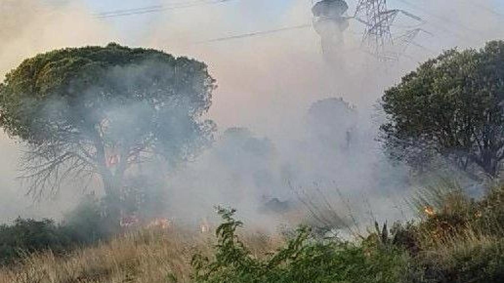 Incendio forestal en Santa Coloma