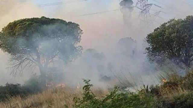 Incendio forestal en Santa Coloma