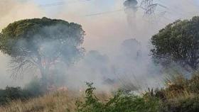 Incendio forestal en Santa Coloma