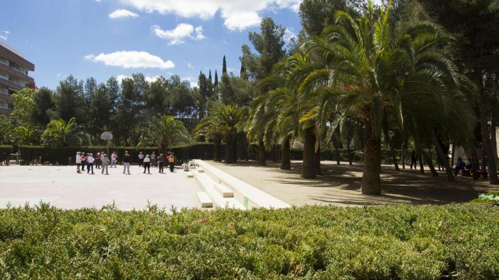 La pista de baloncesto del parque