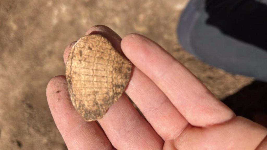 Yacimiento prehistórico encontrado a los pies de la montaña de Montjuïc de Barcelona