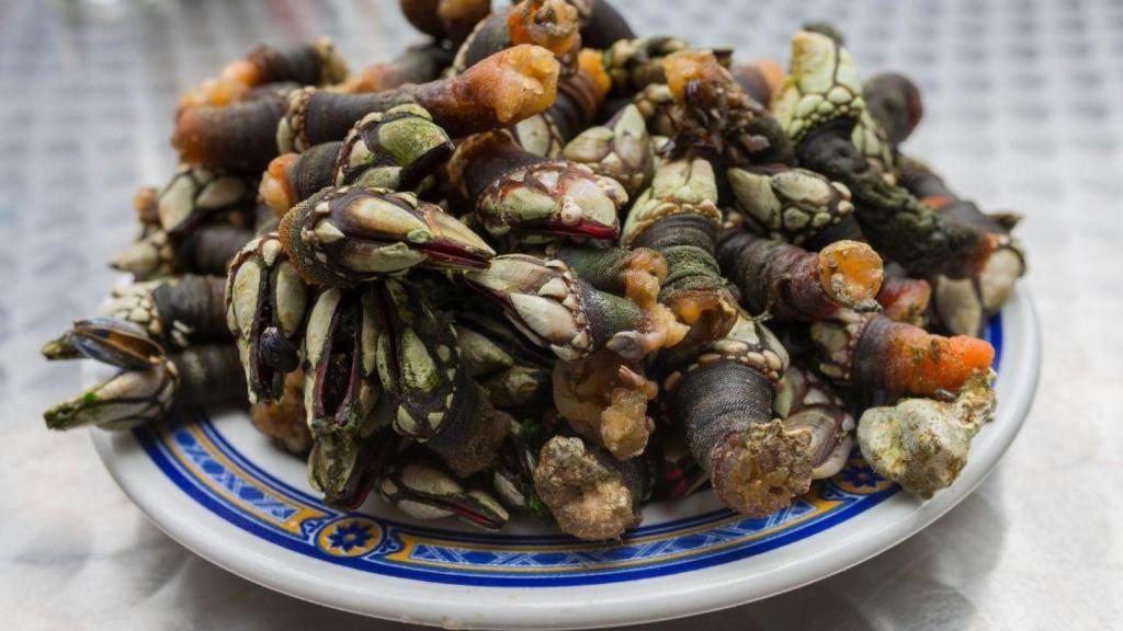 Un plato de percebes | CANVA