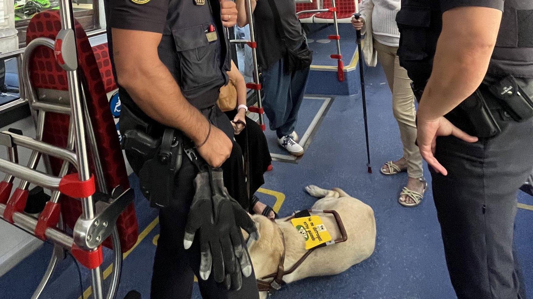 Agentes de los Mossos d'Esquadra, con la víctima y su perro lazarillo