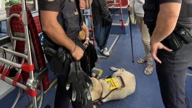 Agentes de los Mossos d'Esquadra, con la víctima y su perro lazarillo