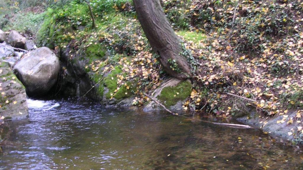 Una imagen del bosque de Tagamanent | FEM TURISME