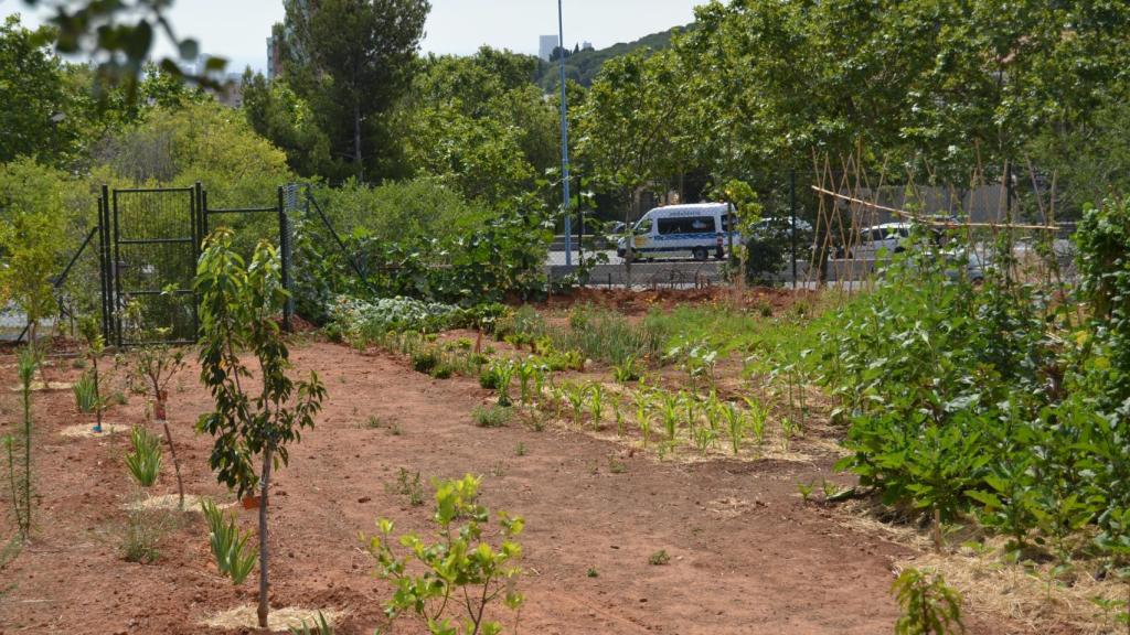 El huerto urbano de Horta amb Gràcia