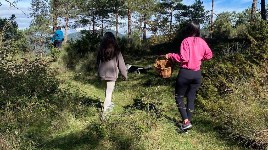 Un grupo de jóvenes buscando setas en el Montseny