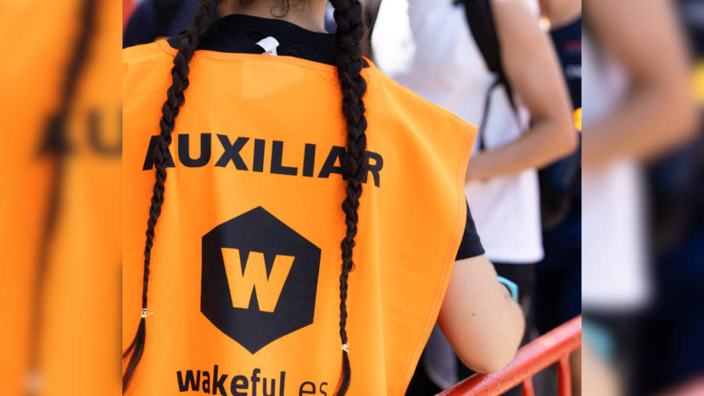 Un controlador auxiliar de Wakeful