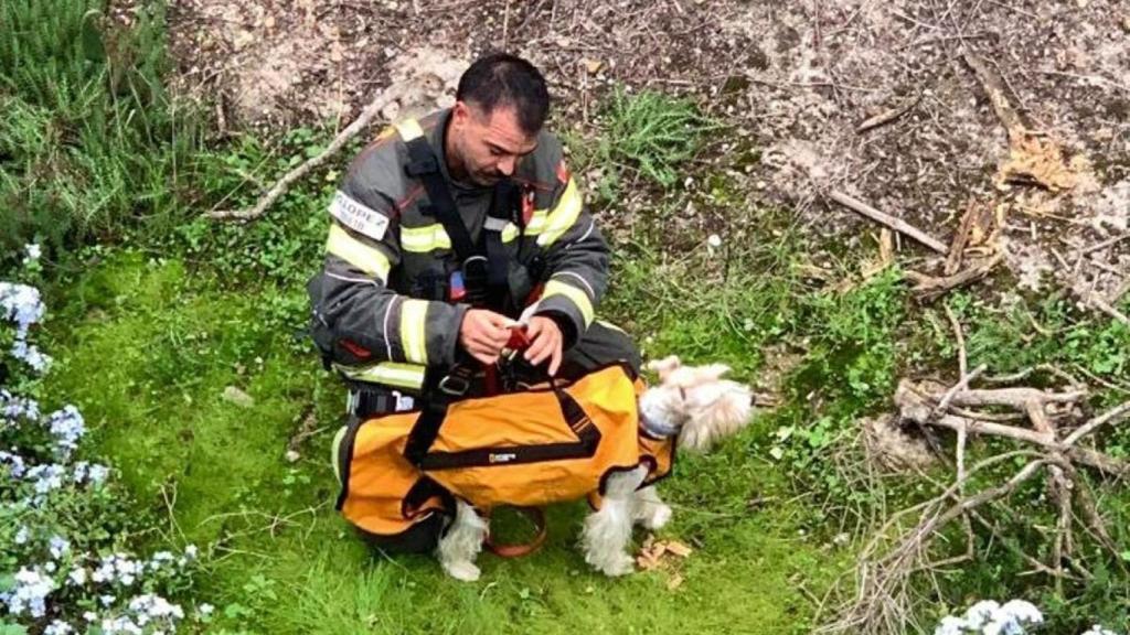 Los Bomberos de Barcelona con el terrier escocés rescatado en Montjuïc