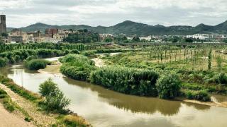 Alarma medioambiental en Barcelona y el Baix Llobregat por la presencia de residuos tóxicos en el suelo