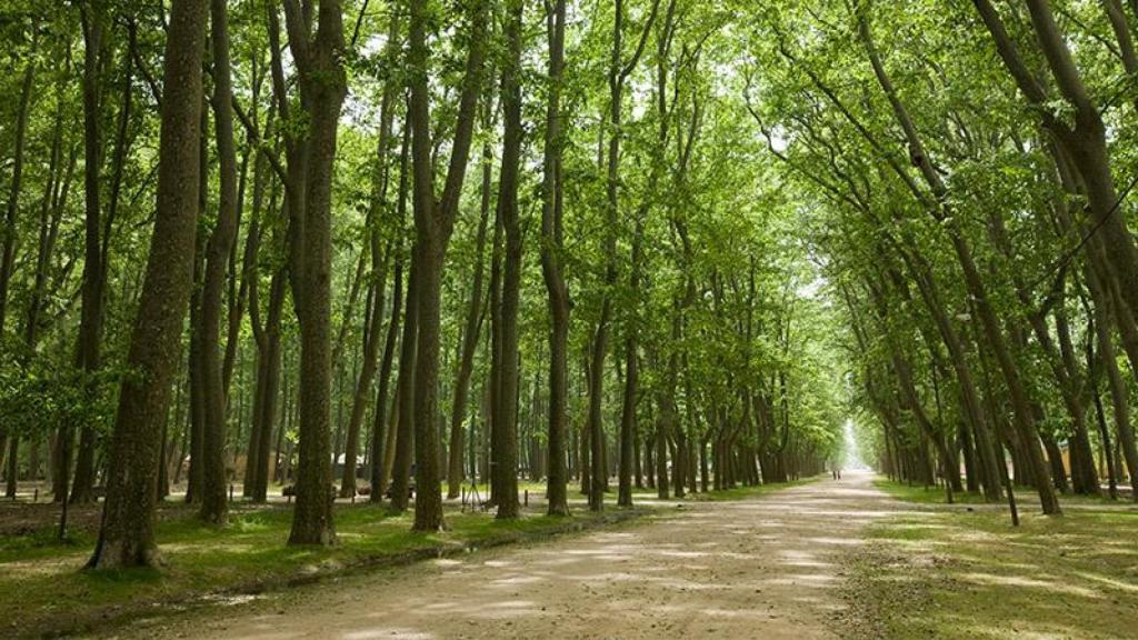 El parque La Devesa