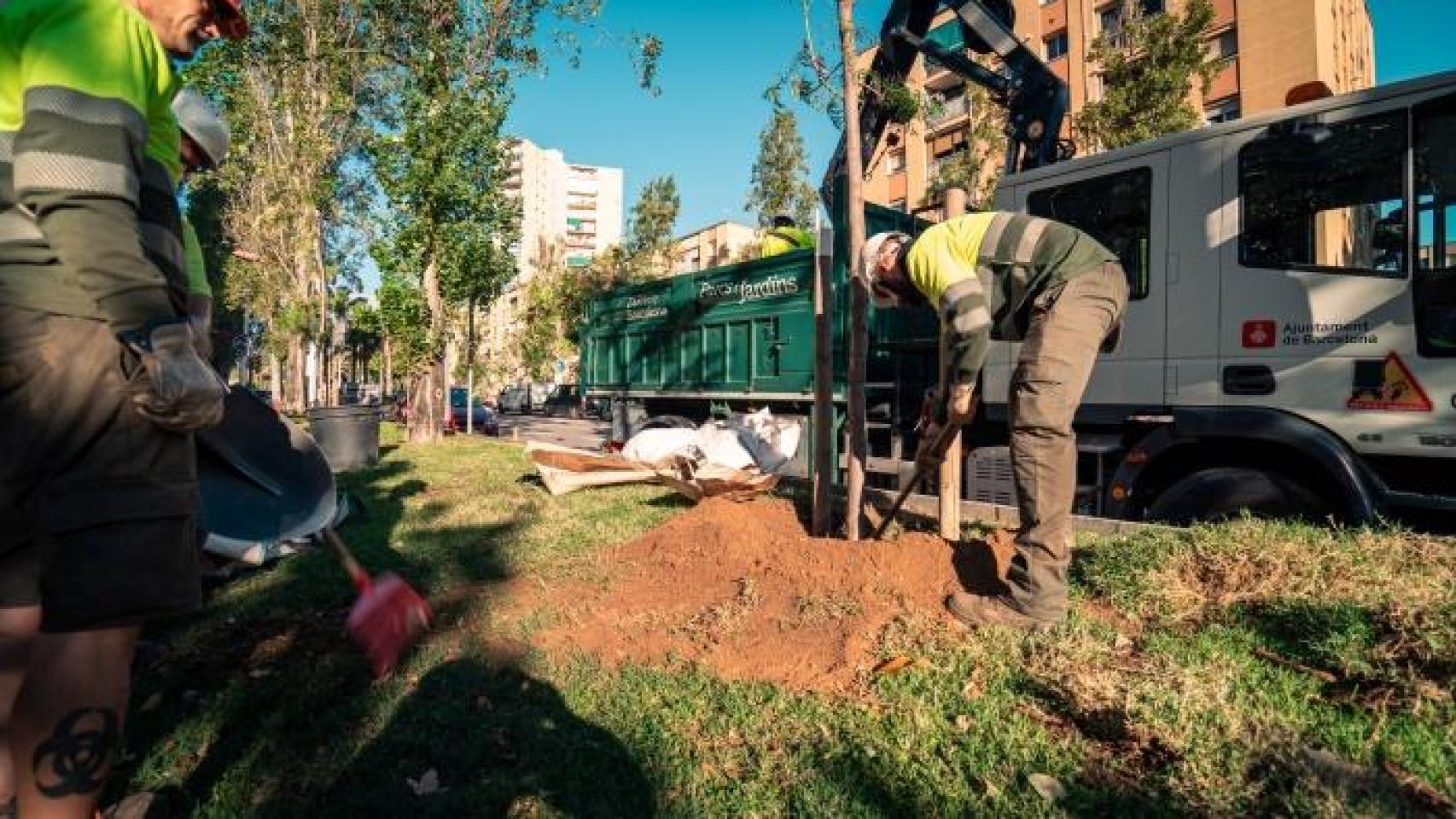 Trabajadores de Institut Municipal de Parcs i Jardins