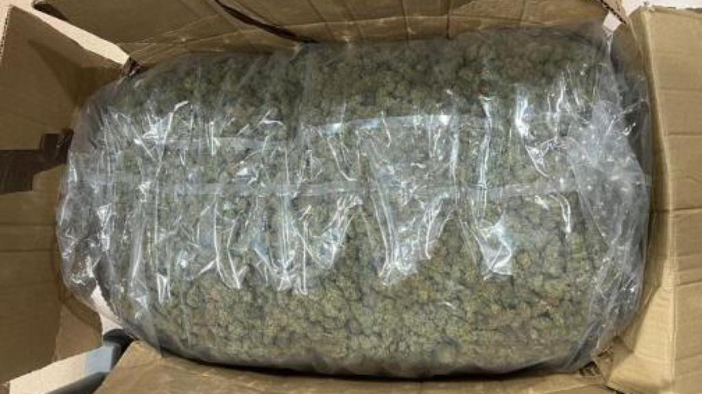 Los 13 kilos de marihuana requisada por los Mossos