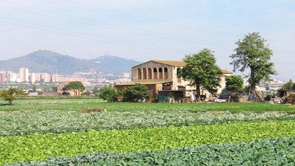 El Parc Agrari del Baix Llobregat en una imagen de archivo