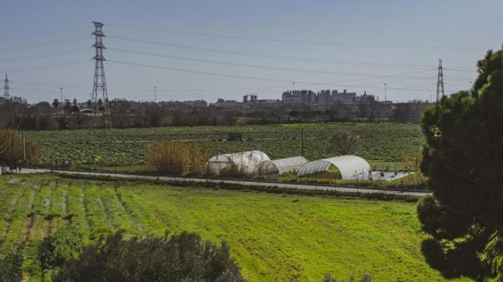 El Parc Agrari del Baix Llobregat en una imagen de archivo