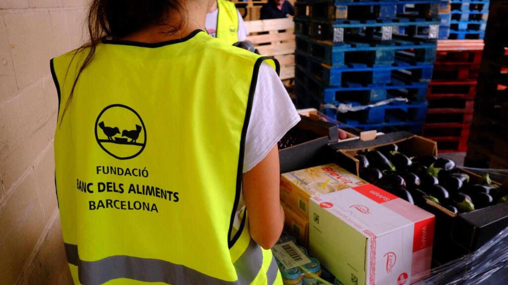 Las bibliotecas de Barcelona recogen ocho toneladas de alimentos para Valencia en 24 horas