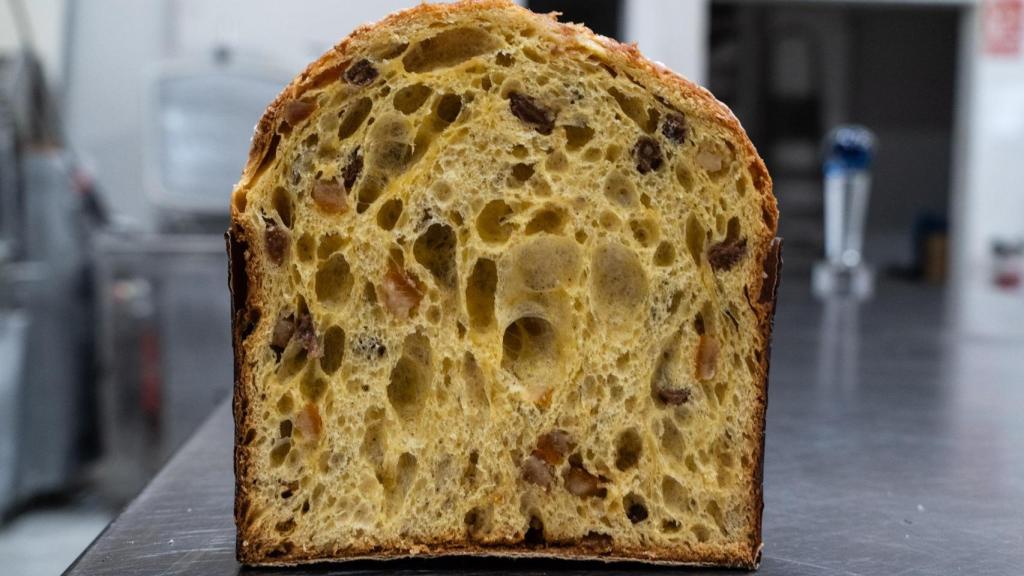 El mejor panettone del mundo en primer plano