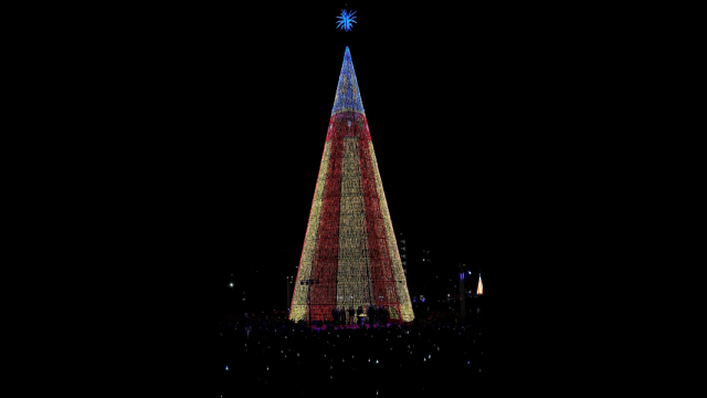 El famoso árbol de Badalona iluminado para homenajear a Valencia