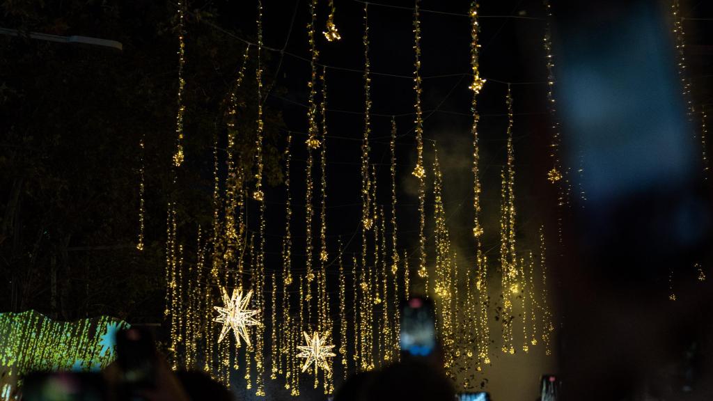 Estrellas de Navidad de paseo de Gràcia 2024