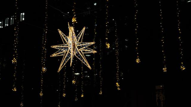 Estrellas de Navidad de paseo de Gràcia 2024