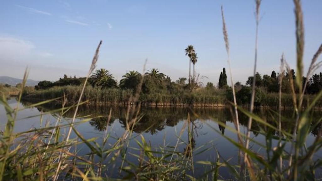 Espacio Natural del Delta del Llobregat