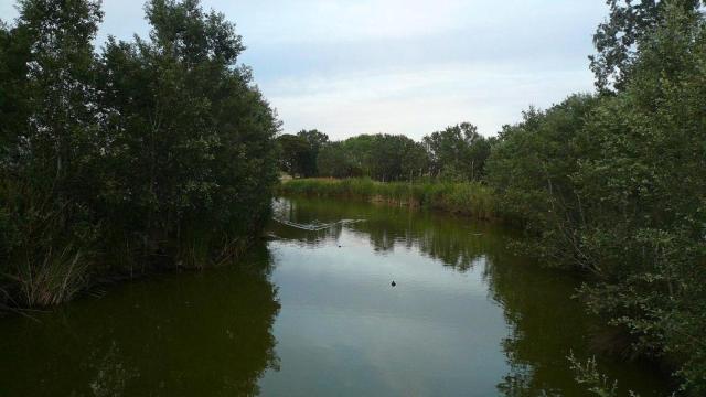 Lago de l'Olla del Rei (Castelldefels)