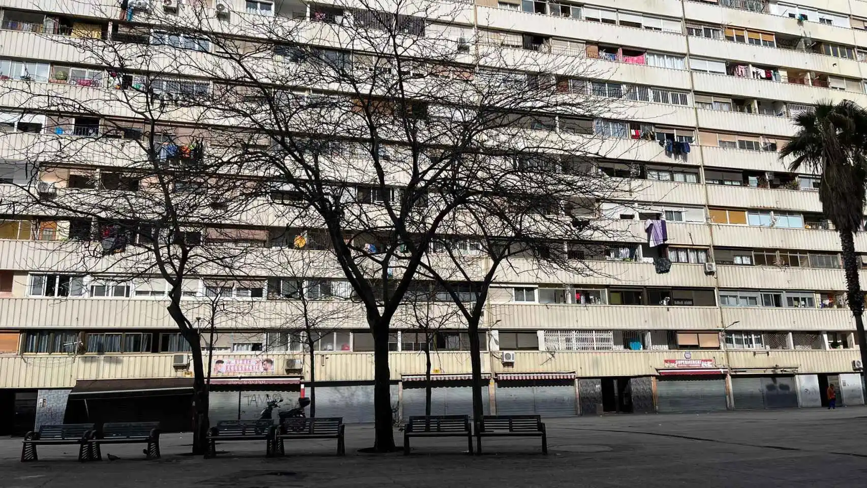 Bloques del barrio de La Mina