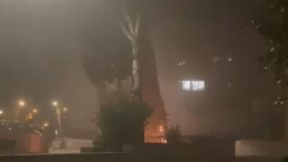 Encenen foc a l'arbre de Nadal de La Florida a L'Hospitalet