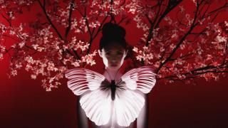 Una Madama Butterfly a baix volum al Liceu