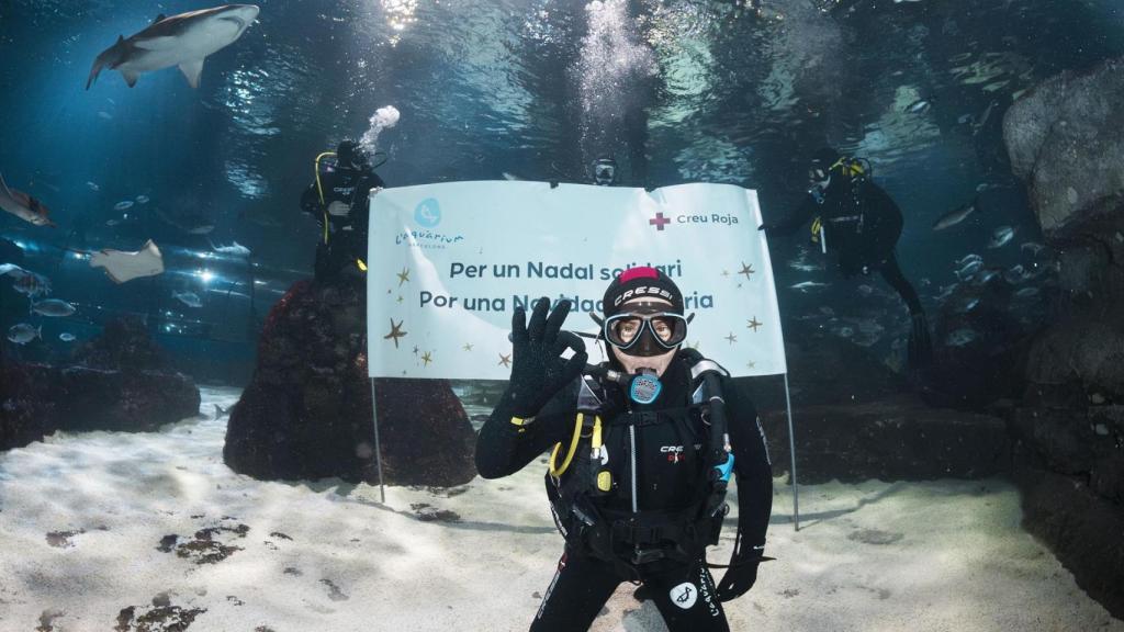 Jordi Cruz durante el baño en el Aquàrium de Barcelona