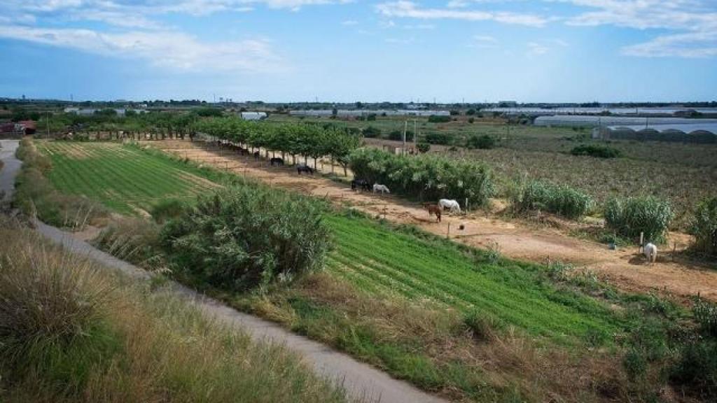 El Parc Agrari del Baix Llobregat en Viladecans