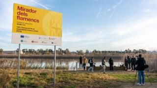 El Prat obre un nou mirador per veure flamencs al Delta del Llobregat