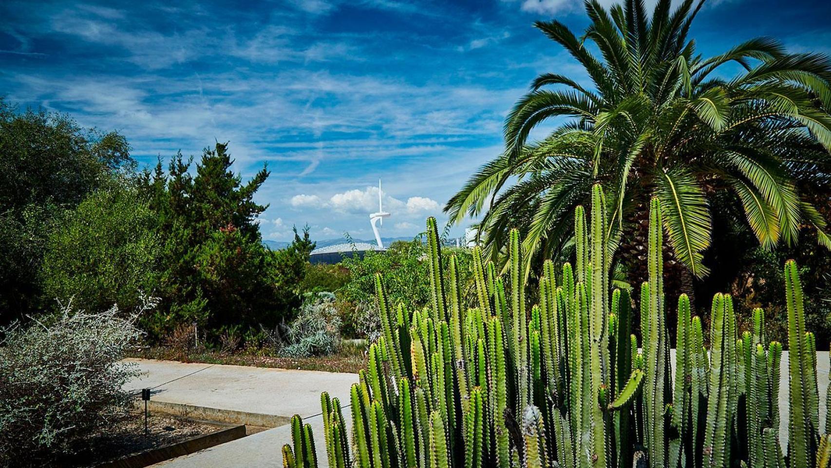 Jardín Botánico de Barcelona