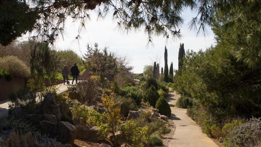 Interior del Jardín Botánico de Barcelona