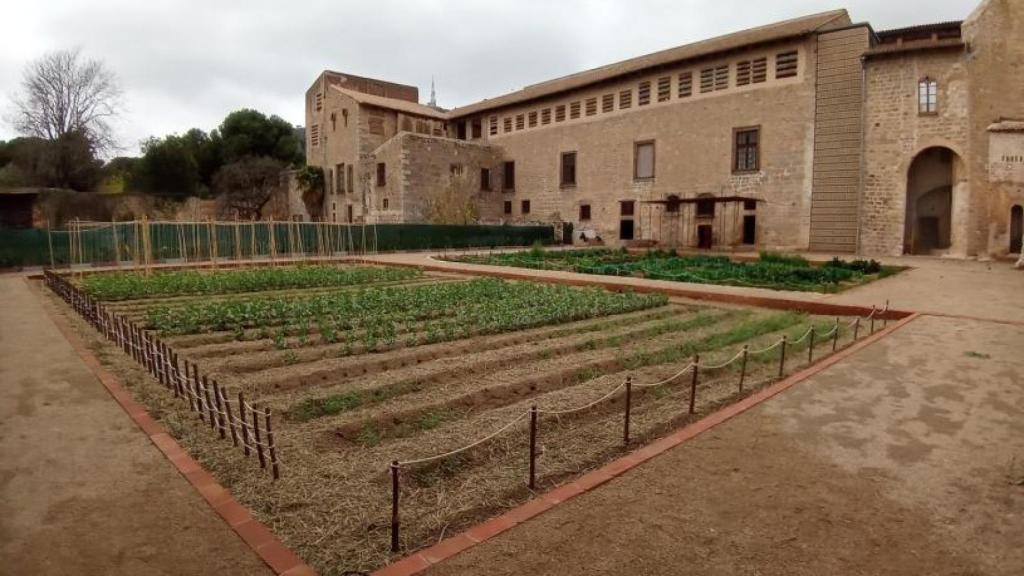 Huerto del Monasterio de Pedralbes