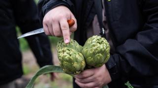 Los agricultores del Parc Agrari del Baix Llobregat, hartos de los robos en los cultivos: "Hay impunidad"