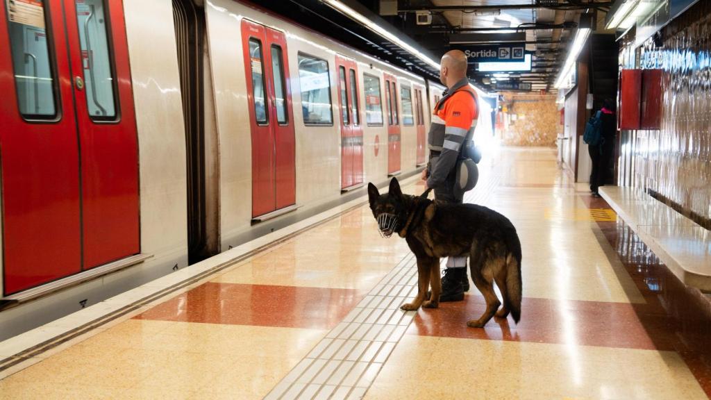 Unidad Canina K-9 de Securitas en el metro de Barcelona