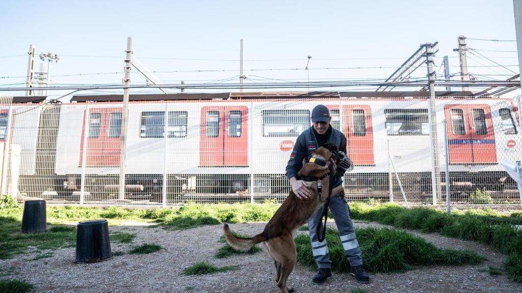 Unidad Canina K-9 de Securitas en el metro de Barcelona