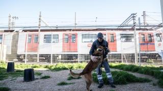 Así funciona la unidad canina "de élite" del metro de Barcelona: un modelo "referente" en Europa