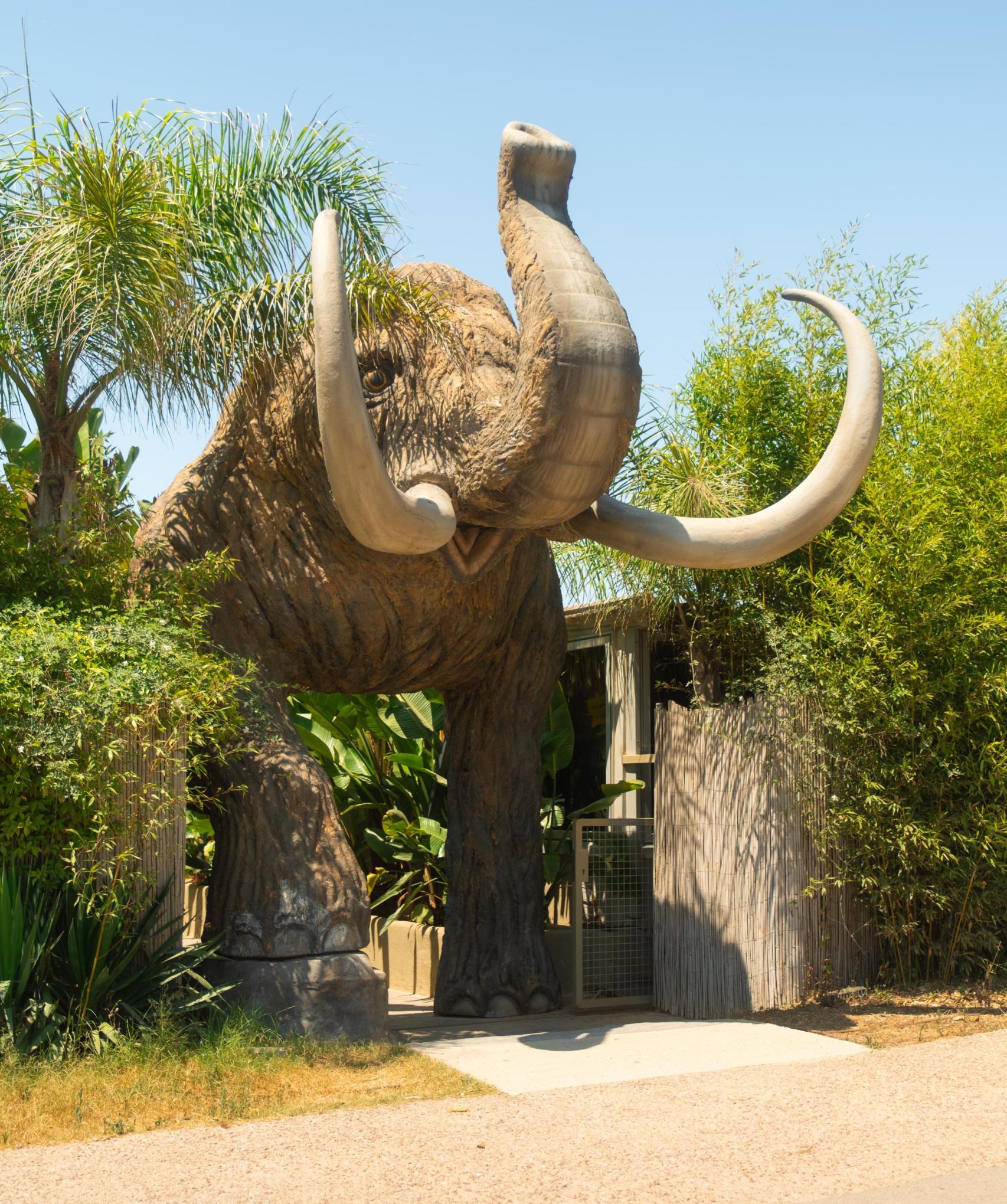 Acceso al restaurante Mamut Beach Club en Viladecans