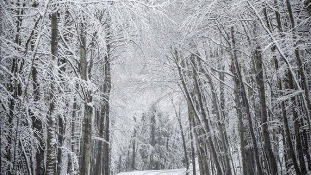El macizo del Montseny nevado en una imagen de archivo