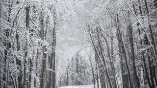 Nevada inédita en el Montseny: nieve en pleno mes de mayo en la provincia de Barcelona